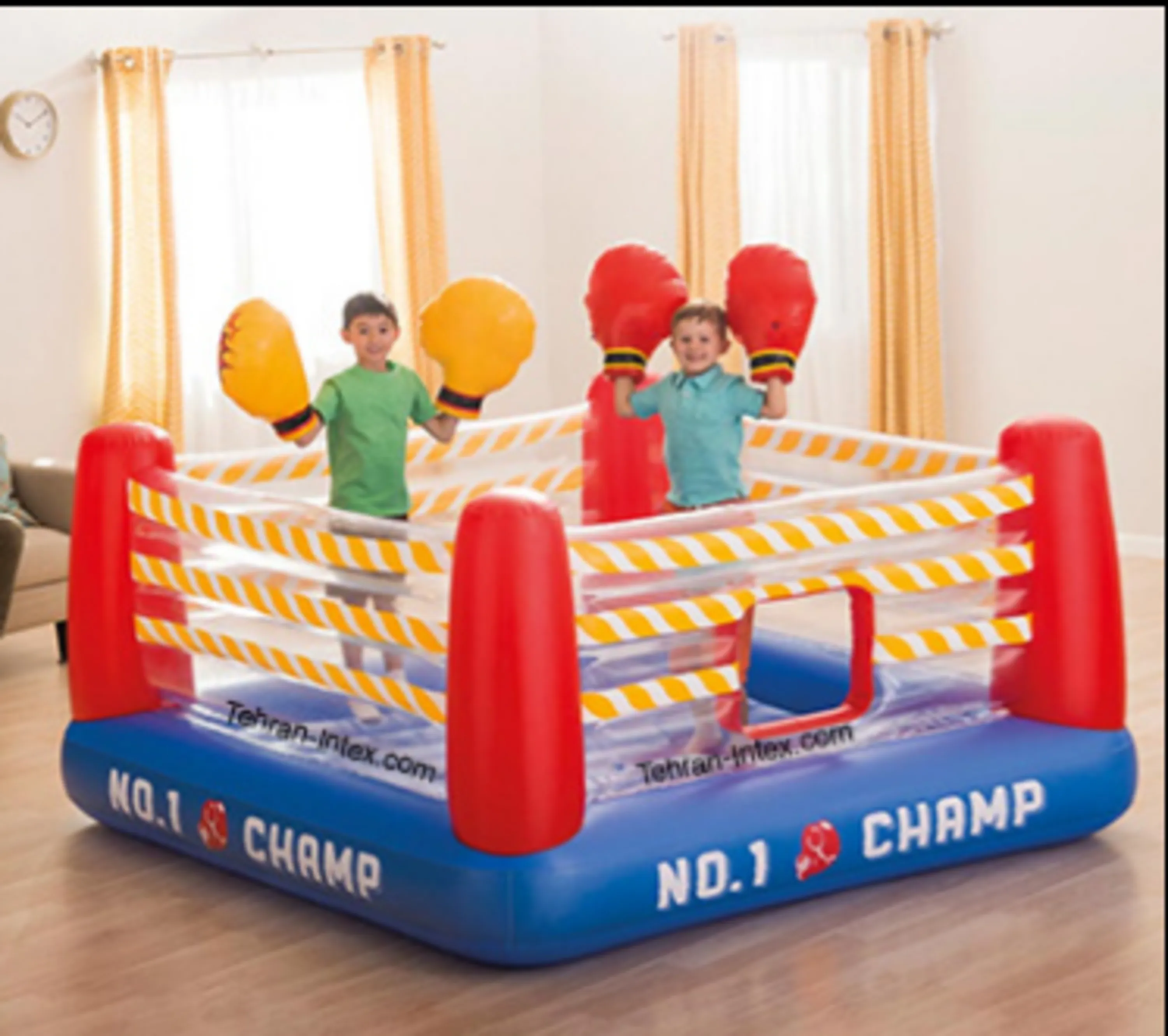 رینگ بوکس بادی اینتکس